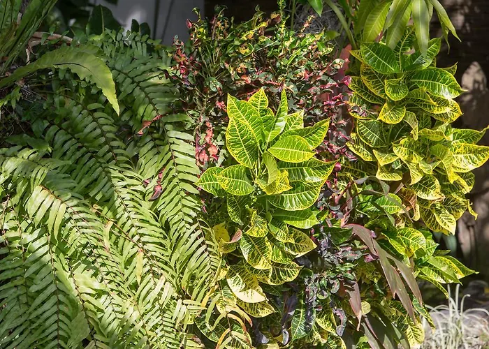 Villa Green Mango Seminyak (Bali)